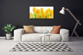 Obraz Canvas Tulipány kvety rastlina 120x60 cm