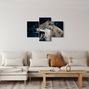 Obraz vlka (90x60 cm)
