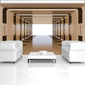 Fototapeta - 3D tunel (254x184 cm)