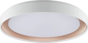 Brilliant - Stmievateľné LED stropné svietidlo WALDO LED/36W/230V biela/ružové zlato + diaľkový ovládač