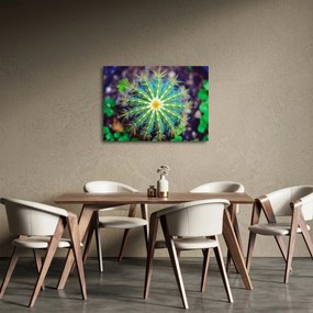 Obraz kaktusu (70x50 cm)