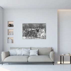 Obraz - Líška v zime (90x60 cm)