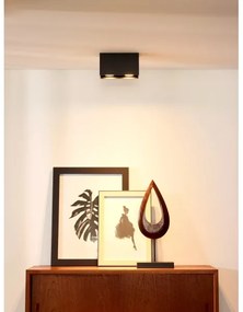 Lucide 09101/02/30 - Bodové svietidlo BODI 2xGU10/50W/230V