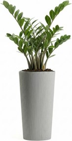 PLASTOVÝ KVETINÁČ URBANIKA ECO 36,5X19,5 CM SIVÁ
