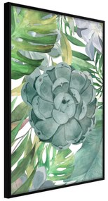 Artgeist Plagát - Tropical Flora [Poster] Veľkosť: 20x30, Verzia: Čierny rám