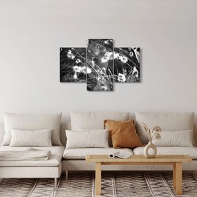 Obraz - Pavučina na lúke (90x60 cm)