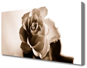 Obraz na plátne Ruže kvet 125x50 cm