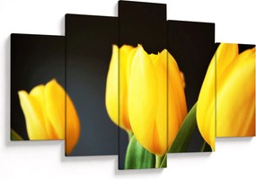 Obraz tulipánov (150x105 cm)