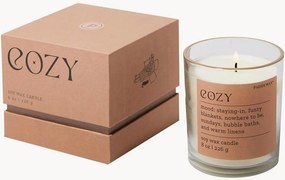 Vonná sviečka Cozy (kašmír a francúzsky kosatec)