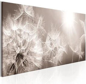 Obraz - Summer Dandelions Veľkosť: 120x40, Verzia: Na talianskom plátne