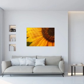 Obraz - Slnečnica (90x60 cm)