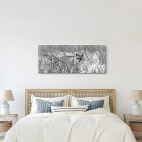Obraz - Lišiak, čiernobiela (120x50 cm)