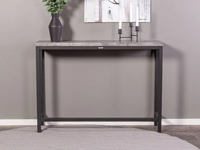 Rise konzolový stolík čierna/sivá 110x30