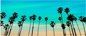 Obraz - Kalifornia (120x50 cm)