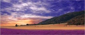 Obraz levanduľovej lúky (120x50 cm)