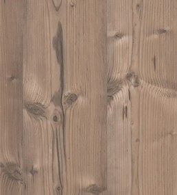 Šatníková skriňa so zrkadlom Bochum, 90 cm, grafit/jedľa