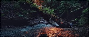 Obraz horskej riečky (120x50 cm)