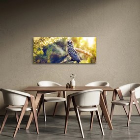 Obraz sovy na strome (120x50 cm)