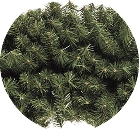 Veniec kráľovský 100cm
