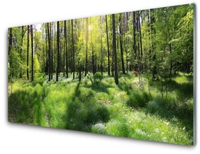 Skleneny obraz Les tráva rastlina príroda 125x50 cm