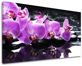Obraz na stenu FENG SHUI 100x150 cm