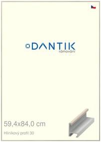 DANTIK rám na obraz 59,4x84 | ALU Dýha slovnová kost (Plexi Čiré)