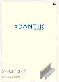 DANTIK rám na obraz 59,4x84 | ALU Dýha slovnová kost (Plexi Čiré)