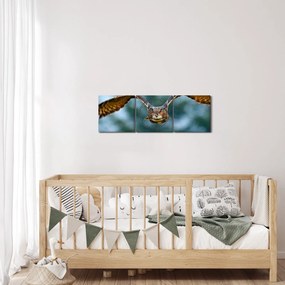 Obraz - Sova pri lete (s hodinami) (90x30 cm)