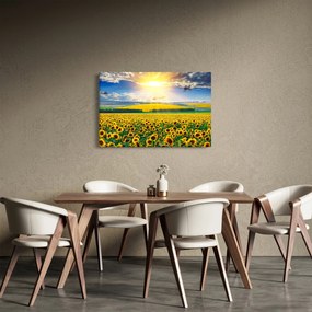 Obraz - Pole slnečníc (90x60 cm)