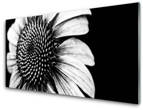 Nástenný panel  Kvet rastlina príroda 140x70 cm