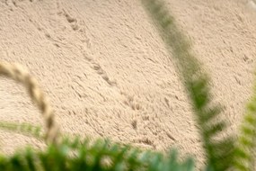 Koberec BUNNY tmavobéžový