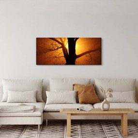 Obraz stromu pri západe slnka (120x50 cm)