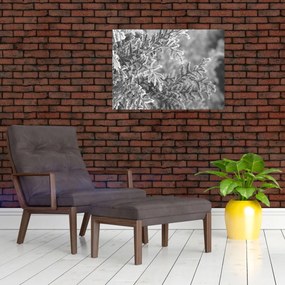 Sklenený obraz - Smrekový les (70x50 cm)
