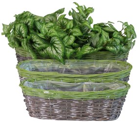 Hnedozelený oválný košík 42cm