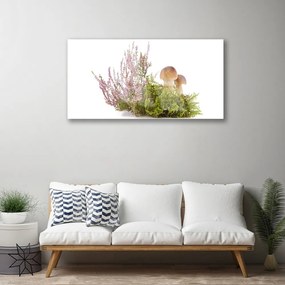 Skleneny obraz Huby rastlina príroda 125x50 cm