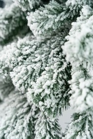 Limpol Horský smrek zasnežený 1,70 m