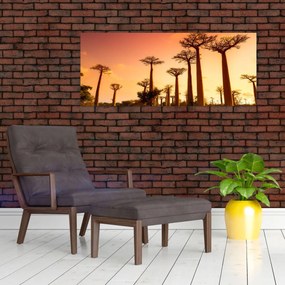 Obraz - Západ slnka v uličke Baobab (120x50 cm)