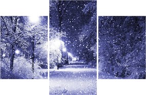 Obraz - Čarovná zimná noc (90x60 cm)