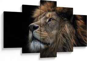 Obraz - Majestátny lev (150x105 cm)