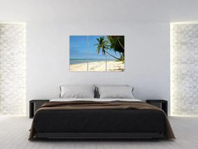 Fotka pláže - obraz