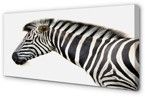 Obraz na plátne zebra 140x70 cm