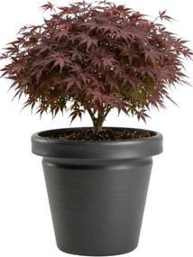 PLASTOVÝ KVETINÁČ SRTIA RIFLO 46X40 CM ANTRACITOVÁ