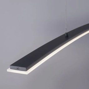 Paul Neuhaus 2530-13 - LED Stmievateľný luster na lanku JANINA LED/27W/230V