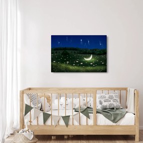 Obraz - Padajúce nebo (90x60 cm)