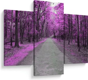 Obraz - Cesta parkom (90x60 cm)