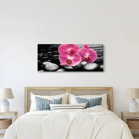 Obraz - Ružové orchidey (120x50 cm)