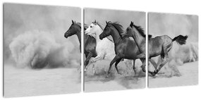 Obraz cválajúci koňov