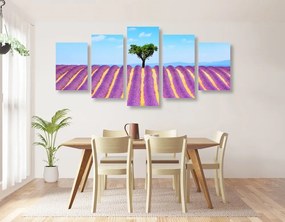 5-dielny obraz provensálske levanduľové pole - 200x100