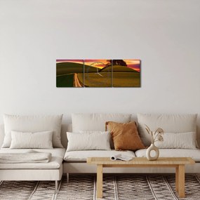 Obraz poľa a farebného neba (s hodinami) (90x30 cm)