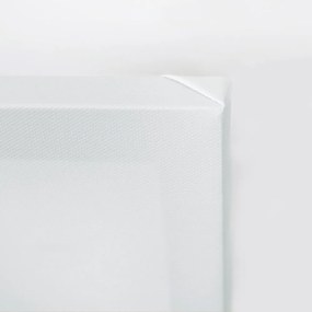 Gario Obraz na plátne Tri biele kvety Rozmery: 120 x 40 cm